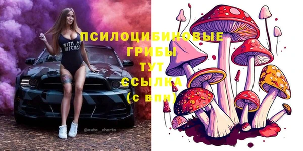 ешки Абаза