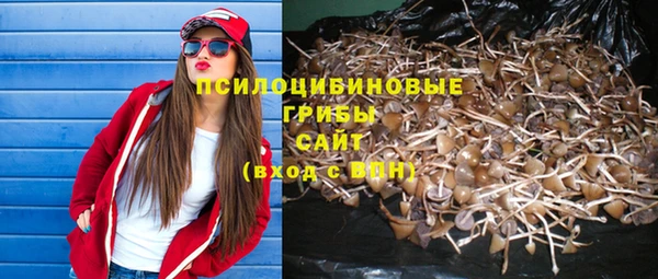 ALPHA-PVP Абинск