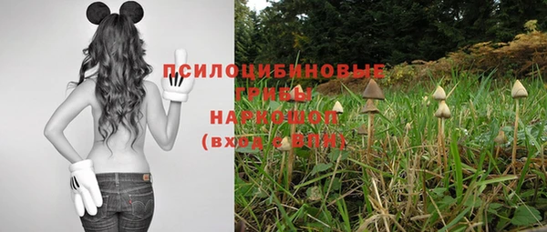 ALPHA-PVP Абинск