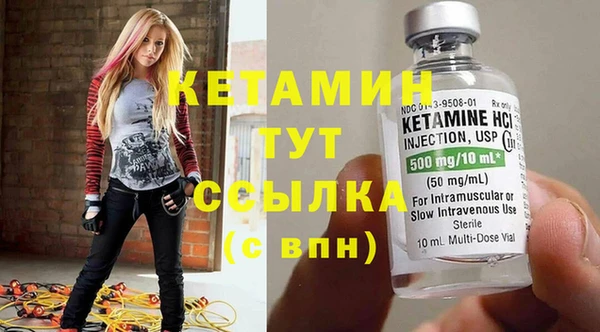 шишки Дубна
