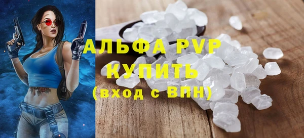 шишки Дубна